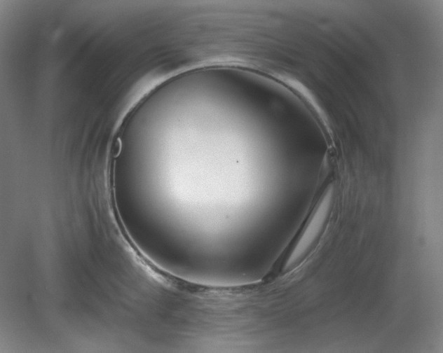X0000078880910200611201407
