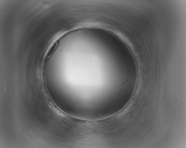 X0000078880912200611201407