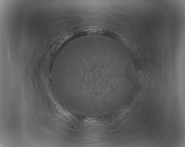 X0000078880913200611201406