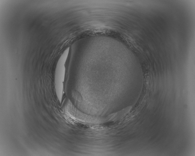 X0000078880916200611201406