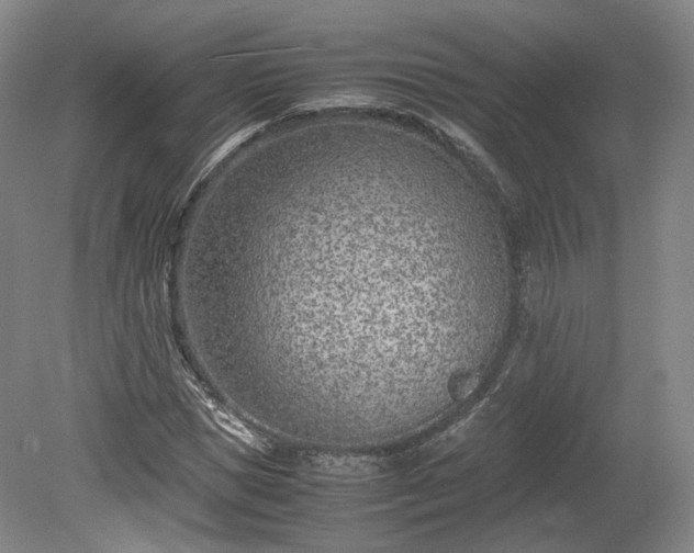 X0000078880921200611201407