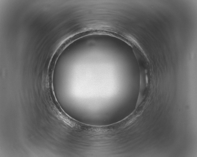 X0000078880924200611201407