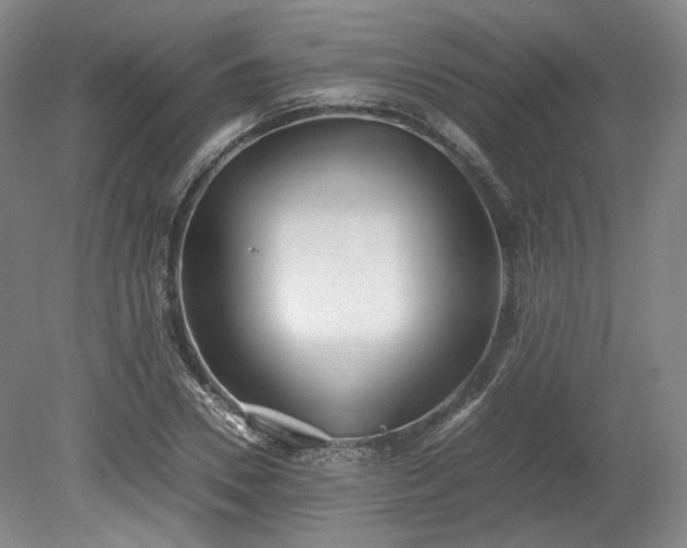 X0000078880930200611201407