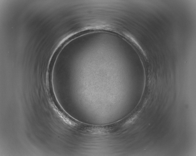 X0000078880932200611201407