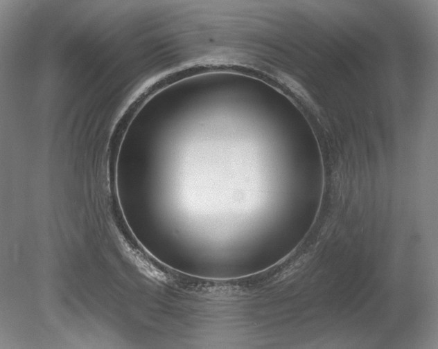 X0000078880934200611201407