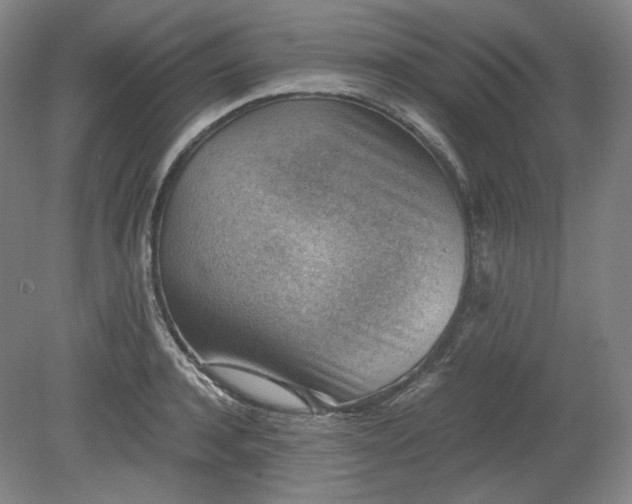 X0000078880944200611201407