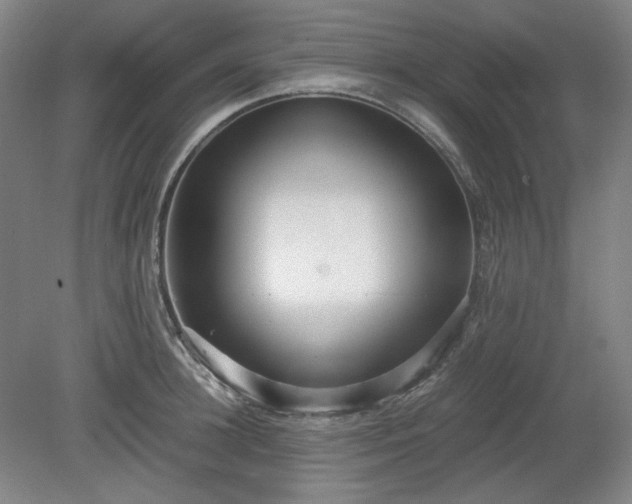 X0000078880948200611201407
