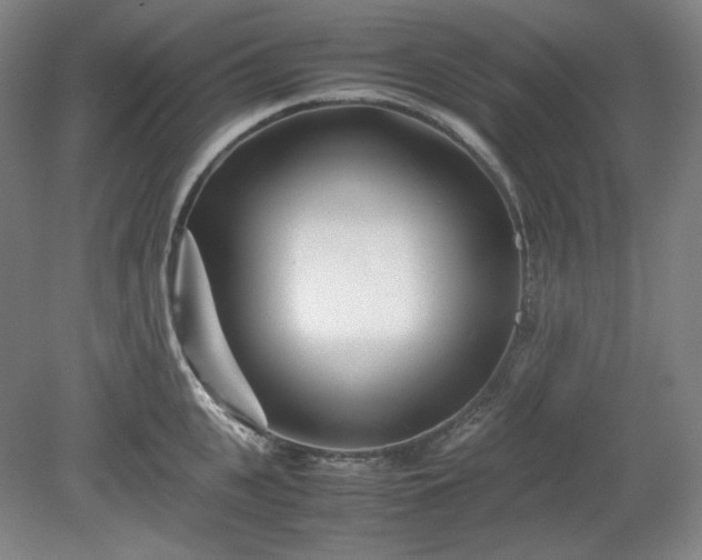 X0000078880951200611201407