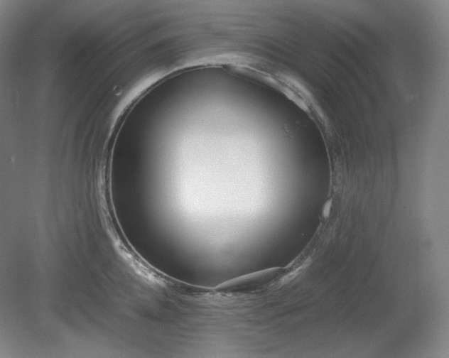 X0000078880952200611201407