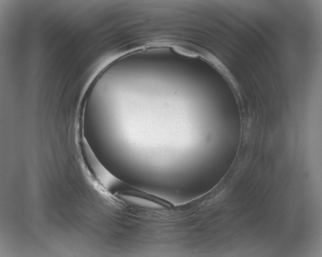X0000078880955200611201407