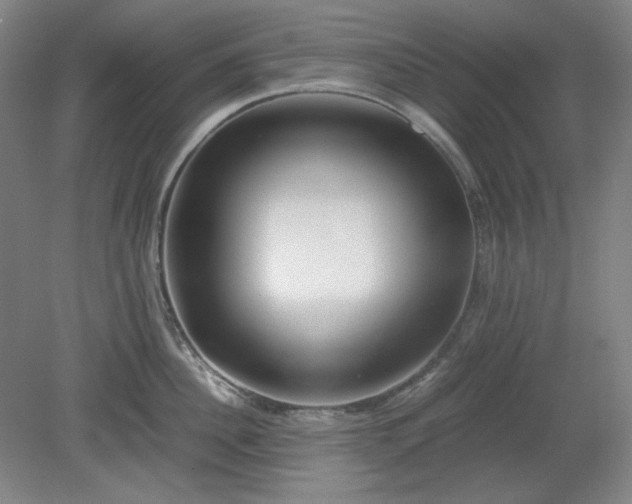 X0000078880956200611201407