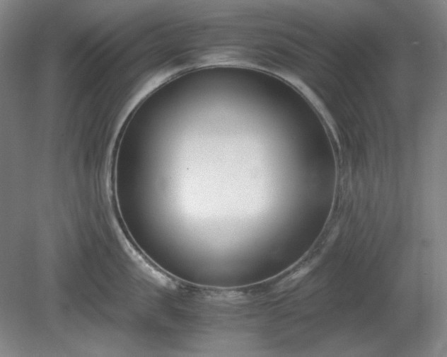 X0000078880957200611201407