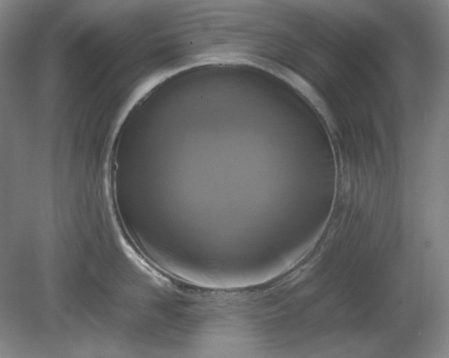 X0000078880958200611201407