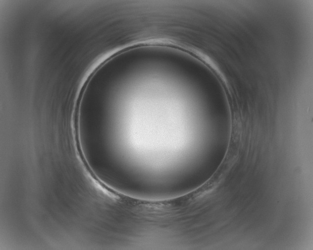 X0000078880959200611201407