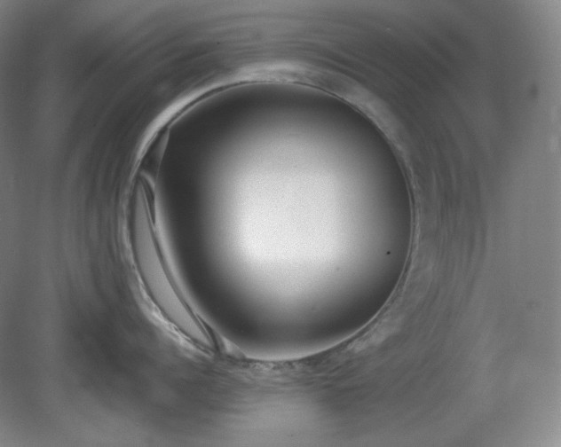X0000078880960200611201407