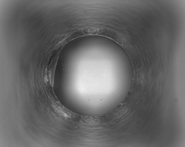 X0000078880962200611201406