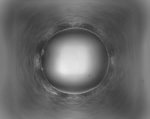 X0000078880963200611201406
