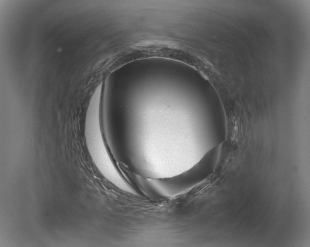 X0000078880965200611201406