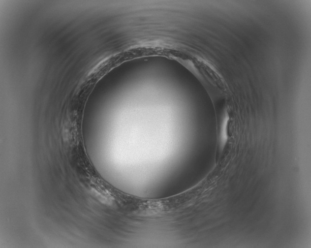 X0000078880968200611201406