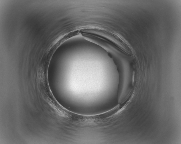 X0000078880969200611201406