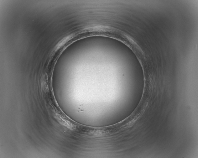 X0000078880970200611201406