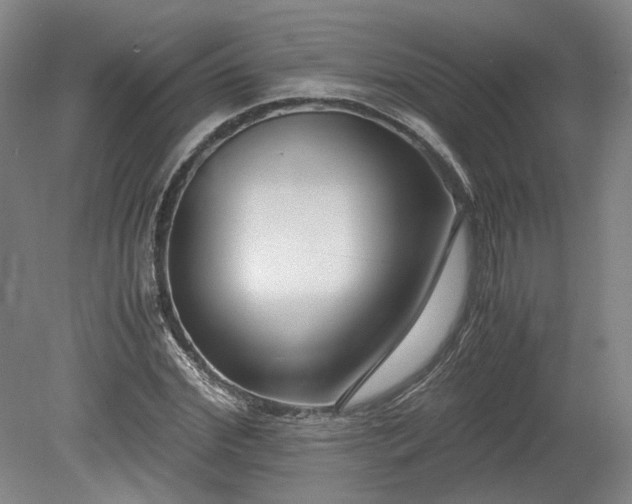 X0000078880972200611201406