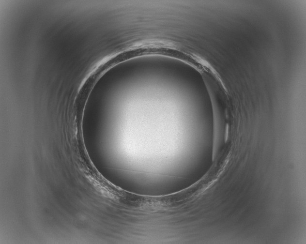 X0000078880973200611201406