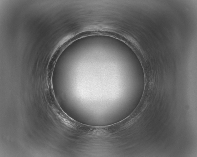 X0000078880974200611201406