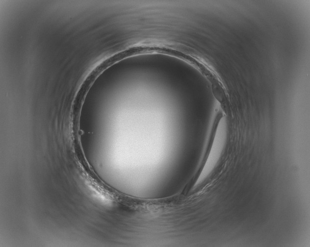 X0000078880976200611201406