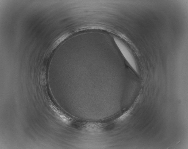 X0000078880977200611201406