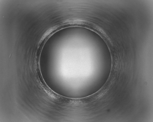 X0000078880978200611201406