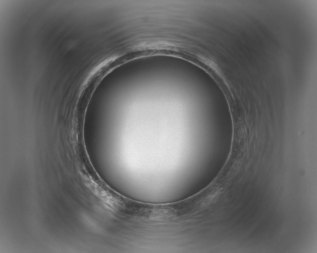 X0000078880979200611201406