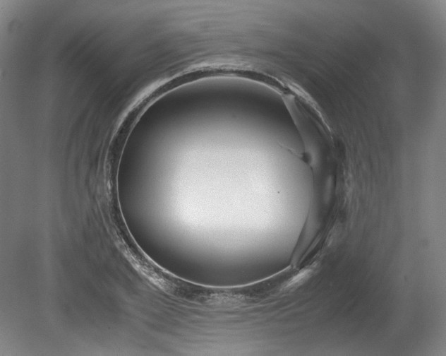 X0000078880981200611201406
