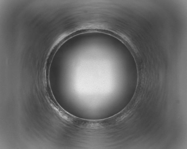 X0000078880982200611201406