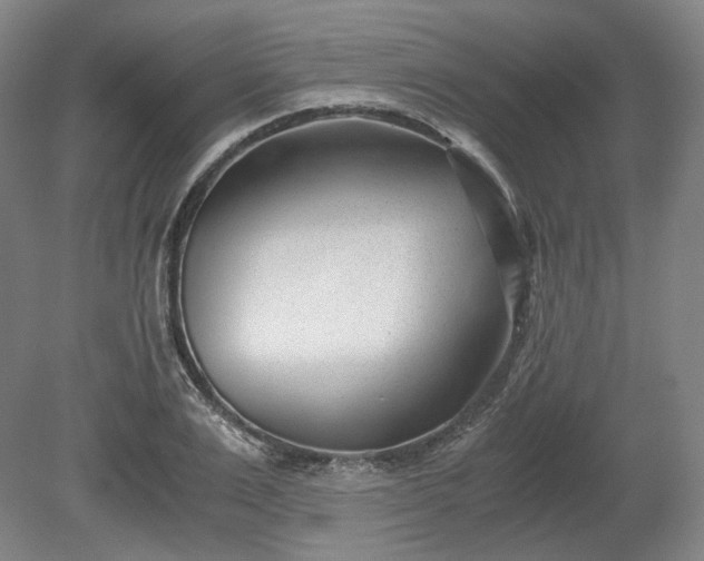X0000078880983200611201406