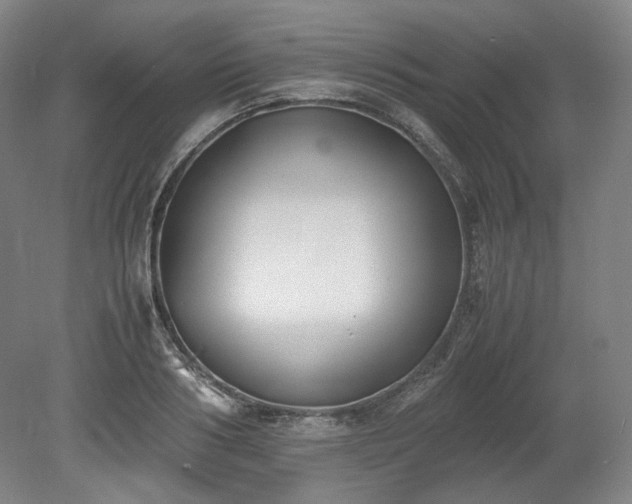 X0000078880986200611201406