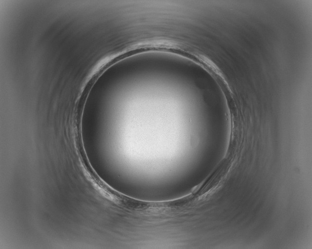 X0000078880989200611201406