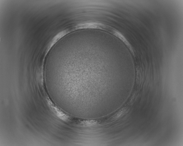 X0000078880994200611201406