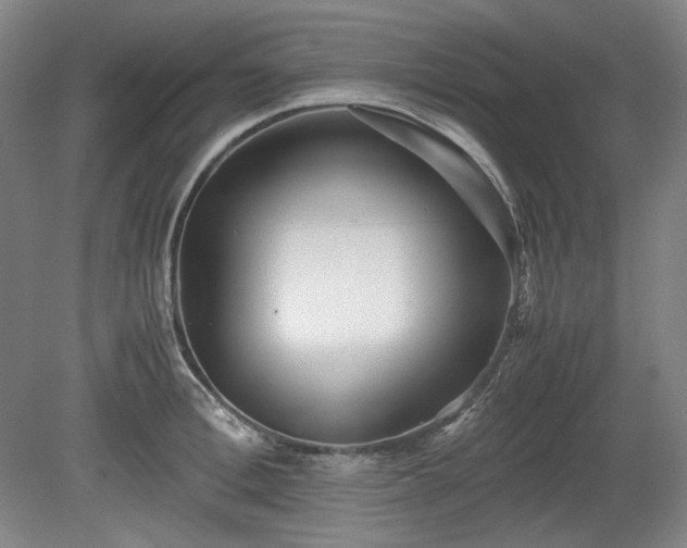 X0000078880996200611201406