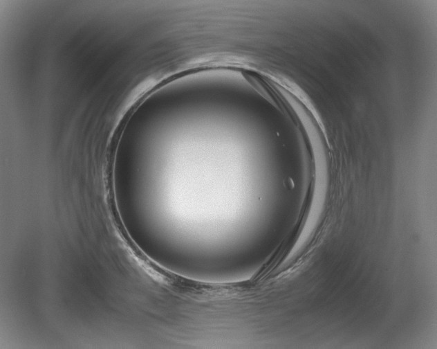 X0000078880997200611201406