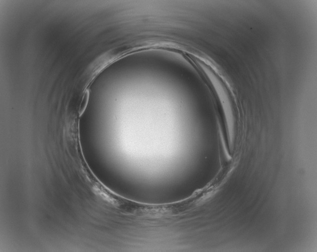 X0000078881001200611201406
