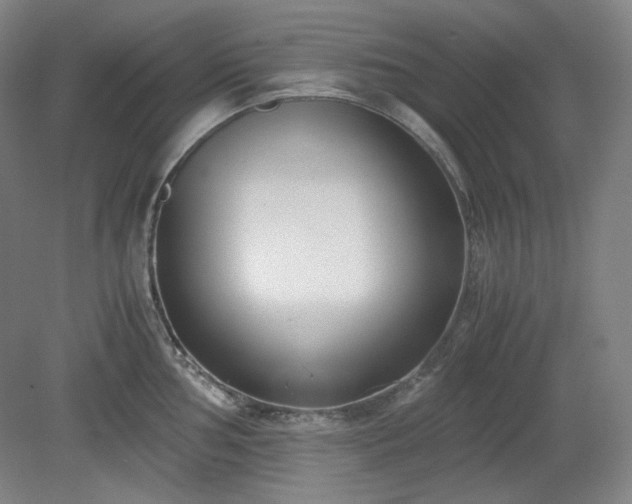 X0000078881002200611201406