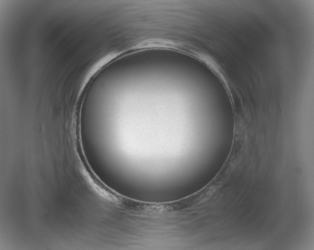 X0000078881003200611201406