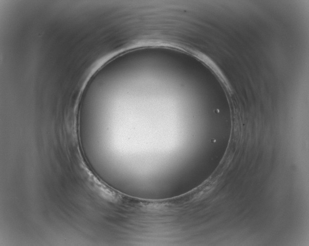 X0000078881004200611201406