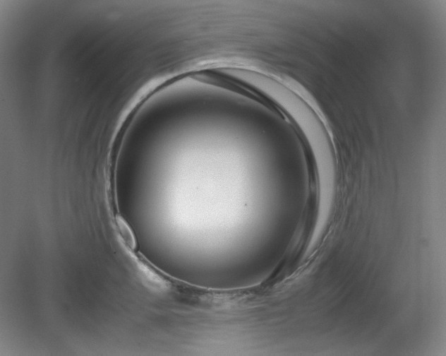 X0000078881005200611201406
