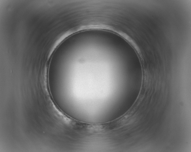 X0000078881006200611201406