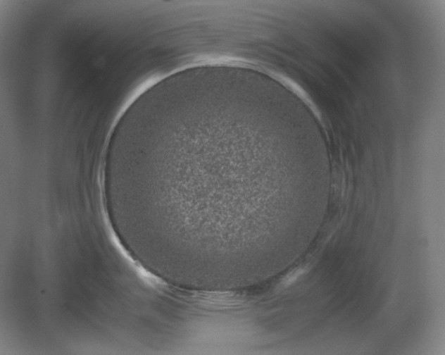 X0000078881007200611201406