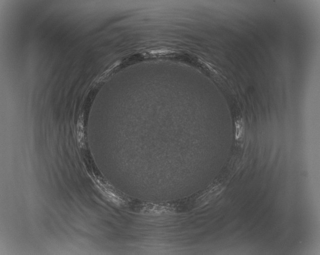 X0000078881011200611201405