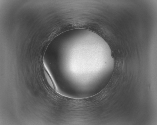 X0000078881012200611201405