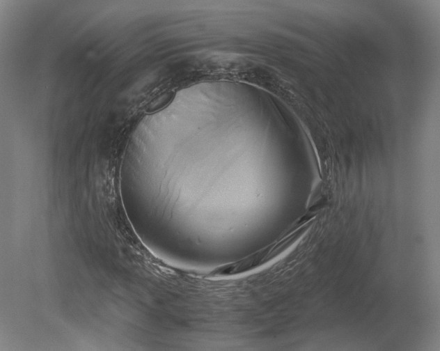 X0000078881013200611201405